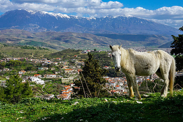 Berat, Albania stock photo