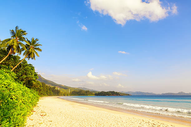istock Beach on Mahe island, Seychelles 618461188