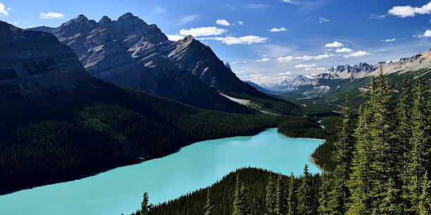 istock Peyto Lake Panorama 618461320