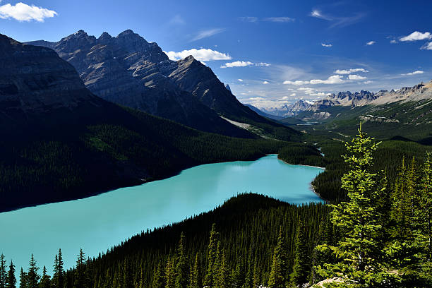 istock Peyto Lake Banff National Park 618462082