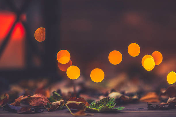 istock Fall backgrounds. Rustic still life with leaves and bokeh 618462254