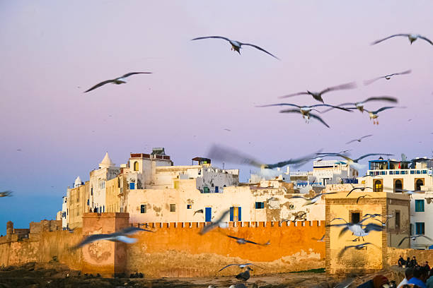 istock Panoramic view of Essaouira, Morocco, north Africa. 618462396