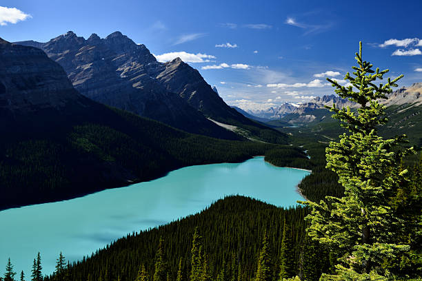 istock Peyto Lake Banff National Park 618463016