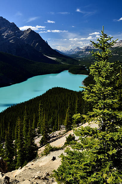 istock Peyto Lake Banff National Park 618463232