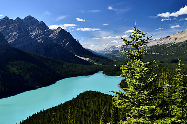 istock Peyto Lake Banff National Park 618463442