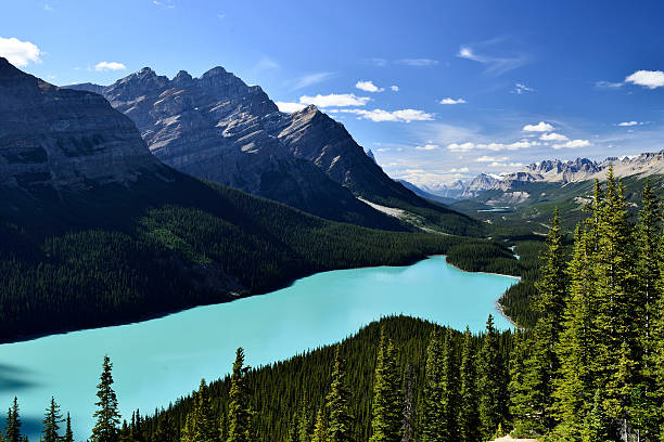 istock Peyto Lake Banff National Park 618463714