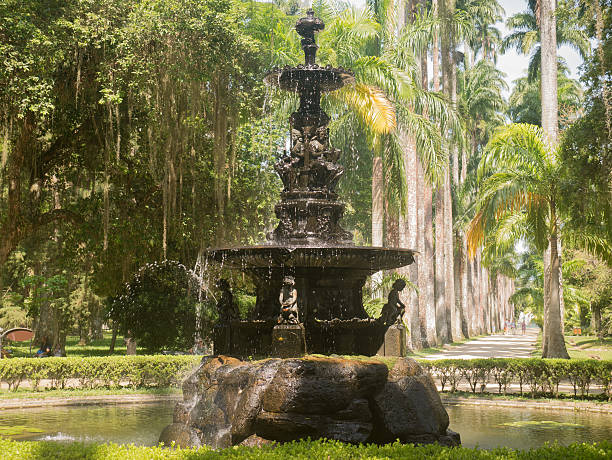 istock Botanical Garden in Rio de Janeiro 618465816