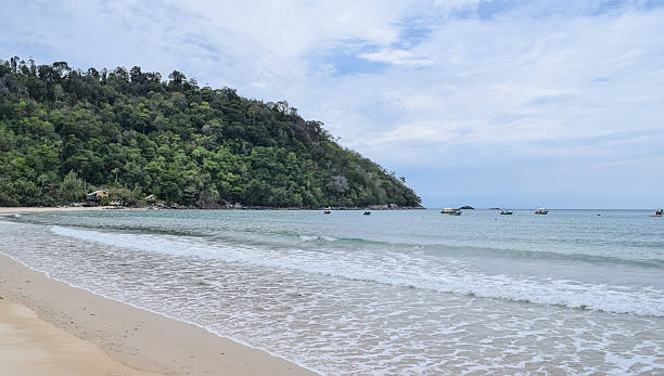 istock Tioman island nature. Malaysia 618513906