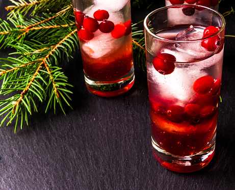 Refreshing cocktail with vodka with ice and cranberry, near christmas tree branches, copy space