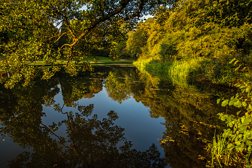Evening autumnal reflections in a local park. Temple Newsam park in Leeds, Yorkshire, uk.