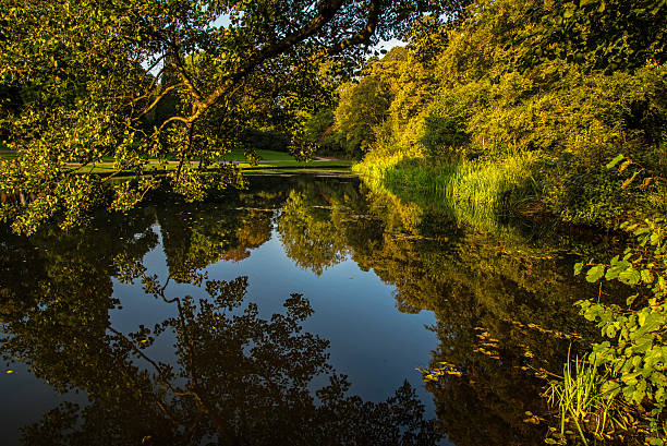 Evening autumnal reflections. Evening autumnal reflections in a local park. Temple Newsam park in Leeds, Yorkshire, uk. temple newsam stock pictures, royalty-free photos & images