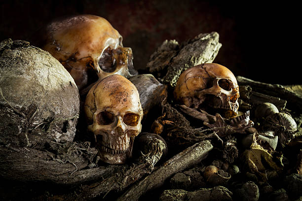 istock Still Life with a Skull on book and  wooden 618526152