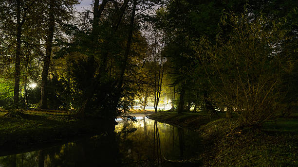 istock Autumn trees and river in a park by night 618526280