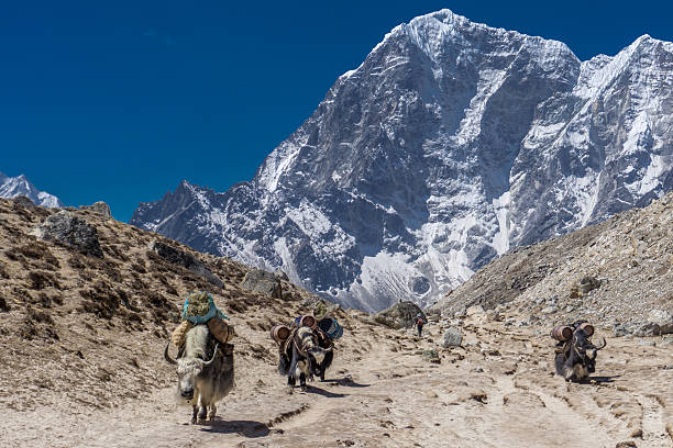 istock Gorak Shep to Pangboche, Nepal 618528102