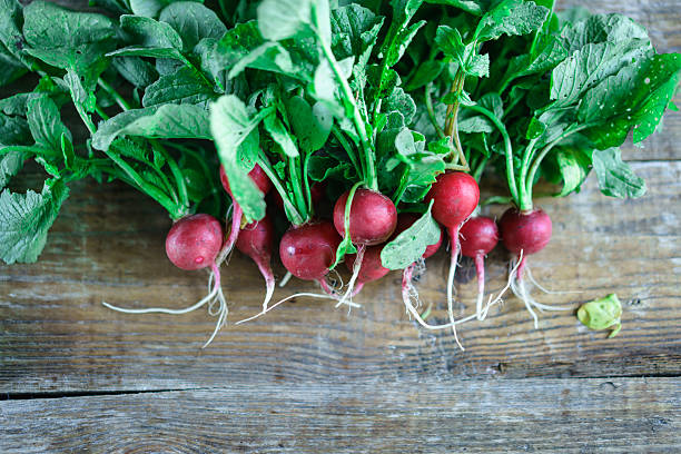 istock large bunch of fresh radish on rustic wooden boards 618531270