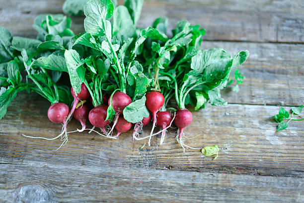 istock large bunch of fresh radish on rustic wooden boards 618531390