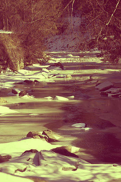 Frozen mountain river in sun winter morning. Ukraine, Carpathian. Toned landscape