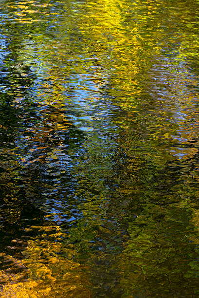 istock colorful  autumn abstract water reflection background 618532044