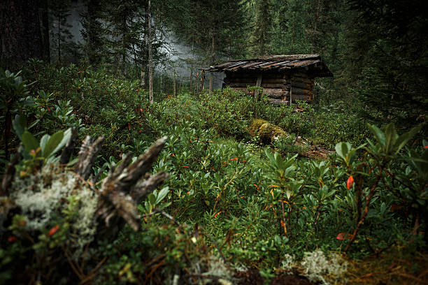 istock Old abandoned hunter's cabin in taiga forest 618532568