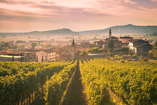 vista de soave (italia) rodeado por los viñedos. - veneto fotografías e imágenes de stock