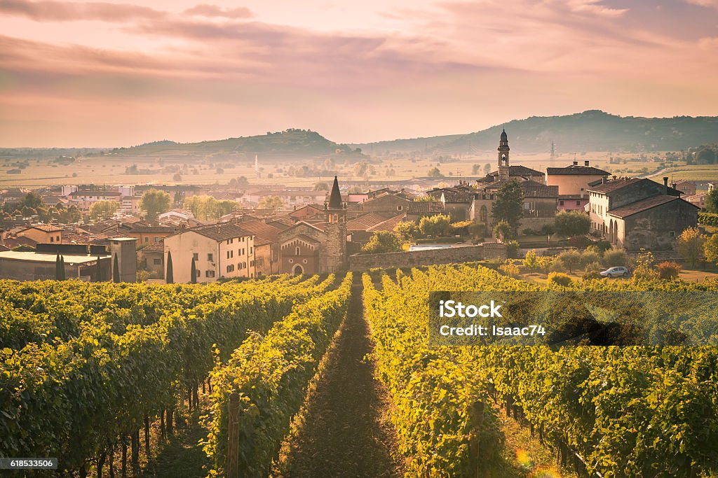 View of Soave (Italy) surrounded by vineyards. View of Soave (Italy) surrounded by vineyards that produce one of the most appreciated Italian white wines. Veneto Stock Photo