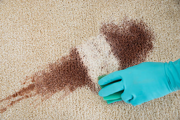 istock Hand Cleaning Red Wine Fallen On Rug 618540230