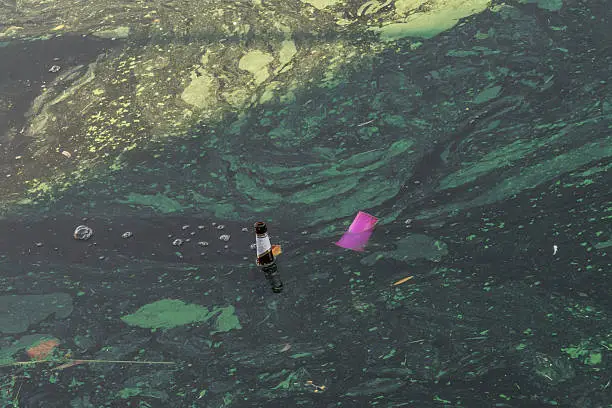 Photo of Dirty Water of beer bottle and plastic cup