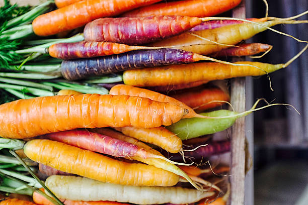 Rainbow Carrots / Fresh Carrots / Carrot varieties Fresh picked rainbow carrots including different coloured carrots. Colourful carrot varieties that are fashionable now. community garden stock pictures, royalty-free photos & images