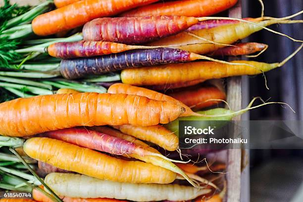 Rainbow Carrots Fresh Carrots Carrot Varieties Stock Photo - Download Image Now - Carrot, Colors, Community Garden