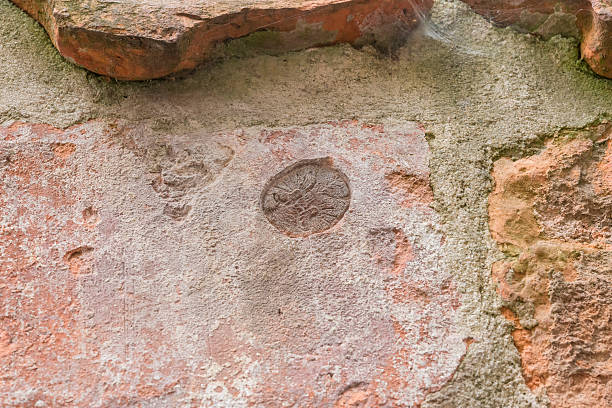 istock Animal print on a brick wall in baker corridor in luebeck 618541374