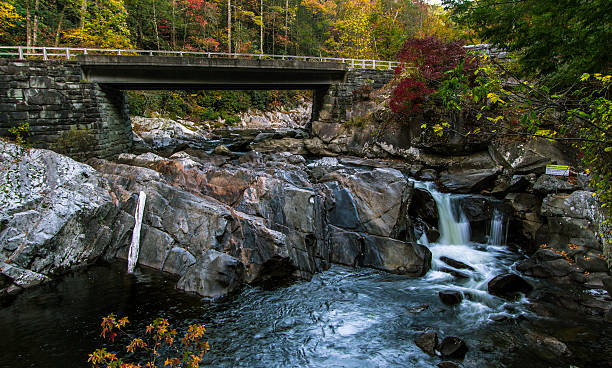 американский грейт-смоки-маунтинс-роуд поездка - gatlinburg road winding road tennessee стоковые фото и изображения