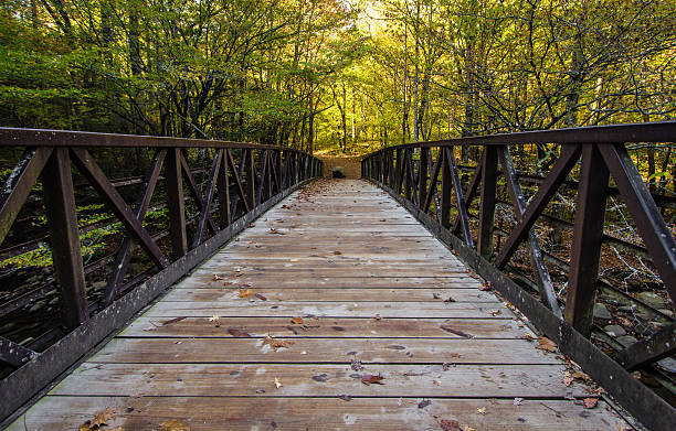 puente a través de un gran arroyo de montaña humeante - great smoky mountains great smoky mountains national park leaf autumn fotografías e imágenes de stock