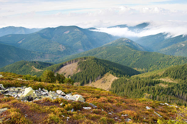 istock Hill covered with orange grass and fluffy white clouds 618547858