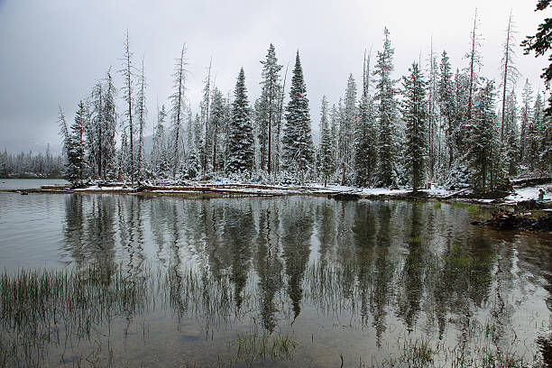 istock Sparks lake in a snowy day on June 618550216