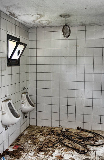 istock Ruins of the toilet 618550370