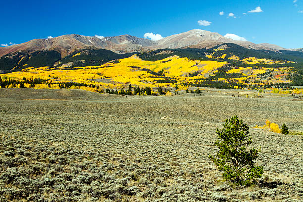 istock Autumn at Mt. Elbert in Colorado 618550578