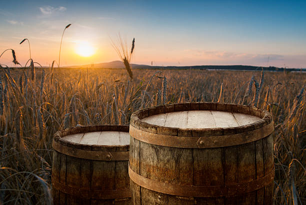 Beer keg with glasses of beer on rural