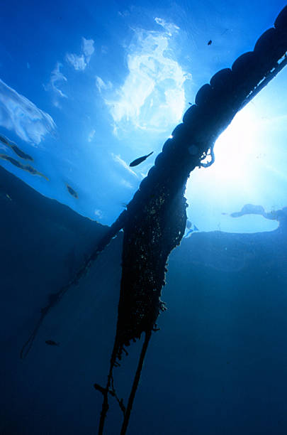 istock fishing net from the depths 618551166