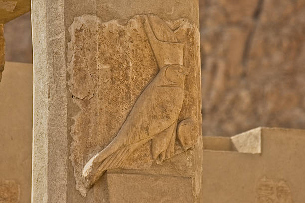 istock Column of Mortuary Temple of Hatshepsut 618551966