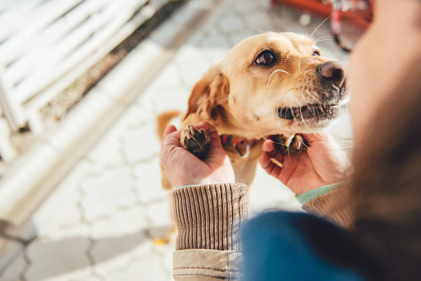 istock Woman Cuddling Her Dog 618554882