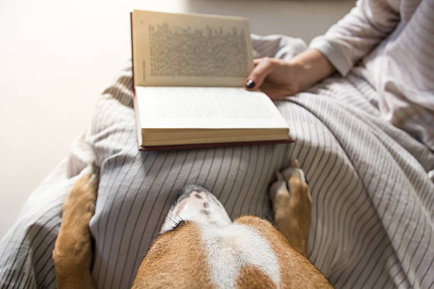 istock Dog in bed with owner who is reading book 618555804