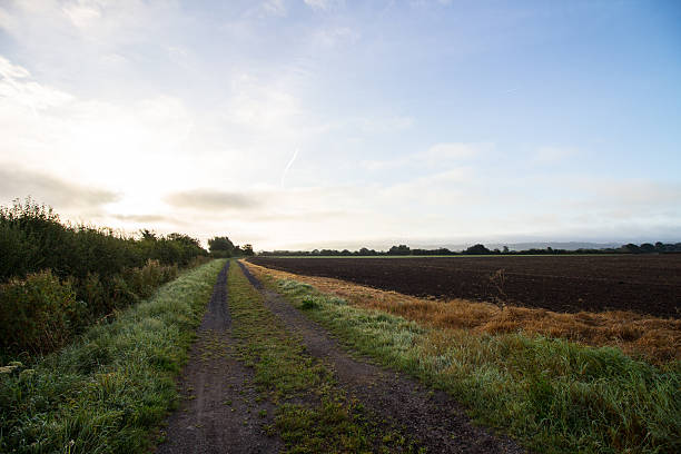 ploughed フィールド - drury lane ストックフォトと画像