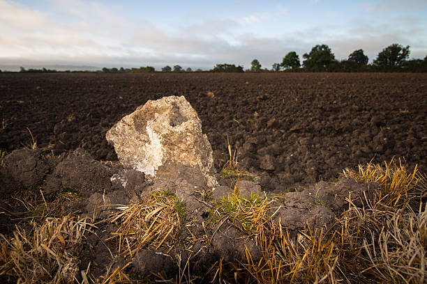 ploughed フィールド - drury lane ストックフォトと画像