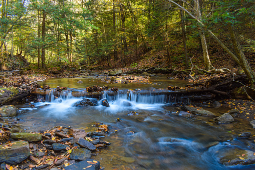 A small creek flowing through a forest in Pennsylvania.
