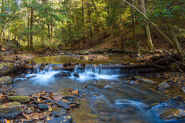 Small Stream In Woods 6,100+ Small Stream In The Woods Stock Photos, Pictures & Royalty-Free ...