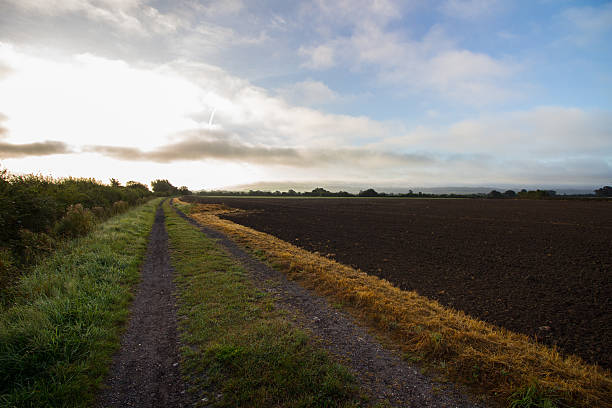 ploughed フィールド - drury lane ストックフォトと画像