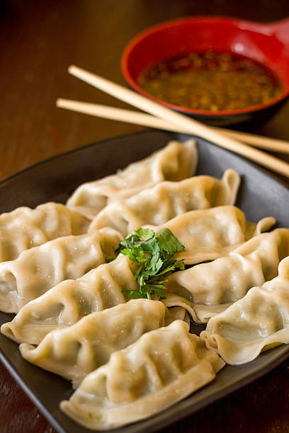 istock Gyoza with dipping sauce 618608528