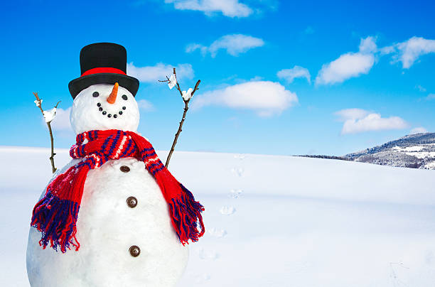 istock Happy Snowman in Christmas Season 618609776