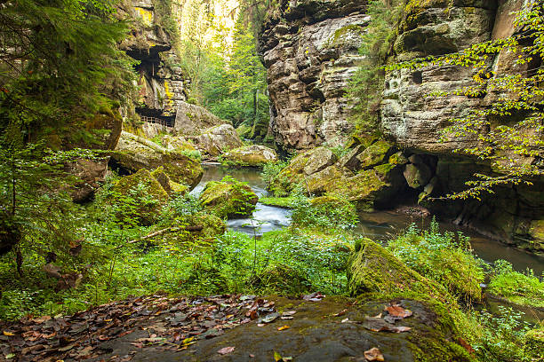 istock Canyon scenery and trails Kamnitz Gorge in the Czech Switzerland 618611016