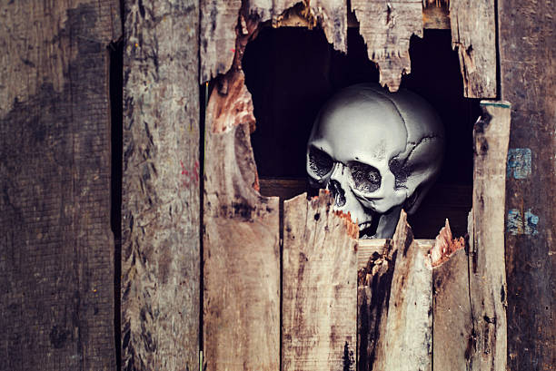 istock The skull was in a wooden box 618611840